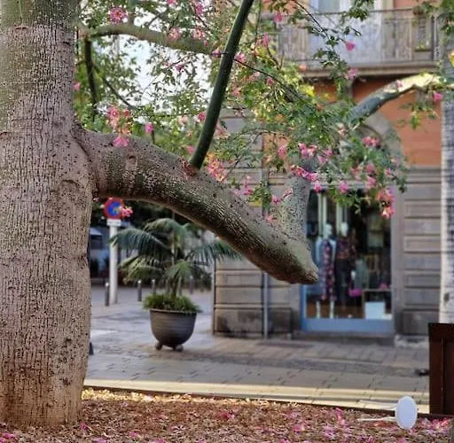 דירה Total Comfort In The Center