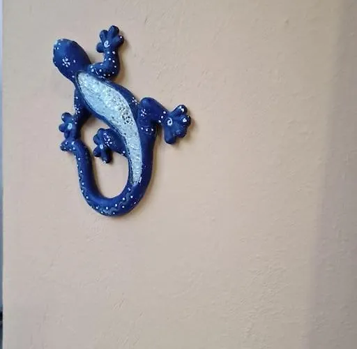 Total Comfort In The Center סנטה קרוז דה טנריף