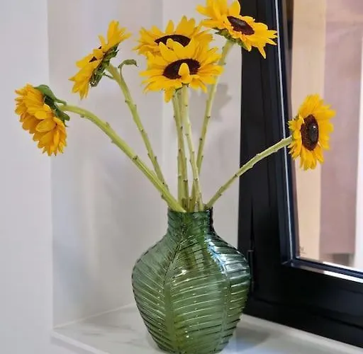 Total Comfort In The Center דירה סנטה קרוז דה טנריף