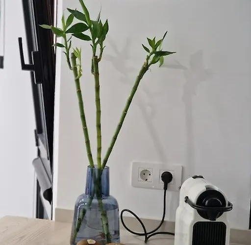 Total Comfort In The Center