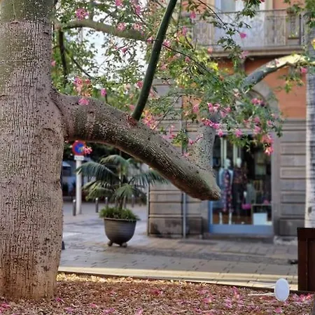 Apartman Enjoy Carnanal With Extreme Confort 4p