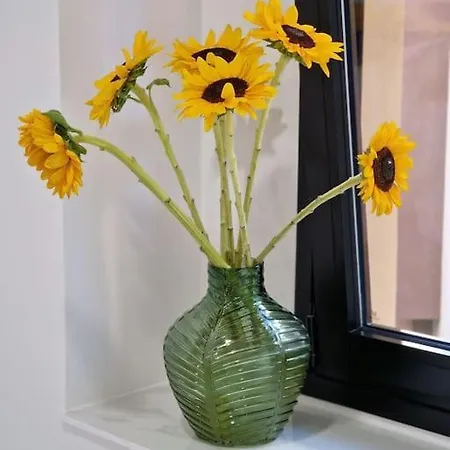 Enjoy Carnanal With Extreme Confort 4p Apartman Santa Cruz de Tenerife