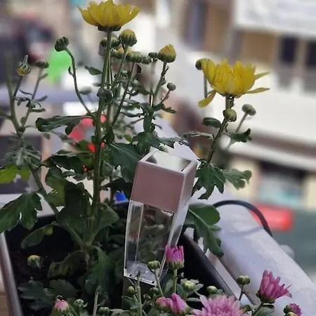 Enjoy Carnanal With Extreme Confort 4p Santa Cruz de Tenerife